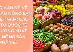 Những Loại Nông Sản Xuất Khẩu Ở Việt Nam Hiện Nay Là Gì Ạ ؟